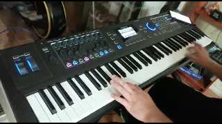 BIG IN JAPAN - keyboard cover