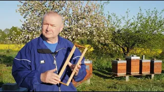 Poszerzanie gniazd na podstawie ramki pracy