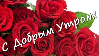 С Добрым Утром! Душевное пожелание с добрым утром. Пусть день сложится удачно!