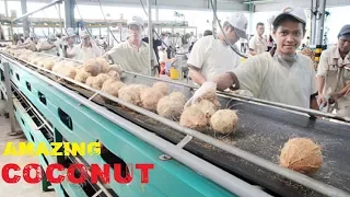 Amazing COCONUT Processing & Cutting Compilation ★ Fast Workers COCONUT Cutting Skills Food Machines