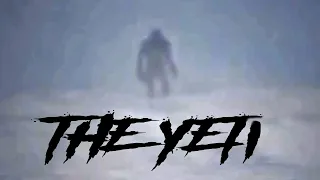 THE YETI - real or fake?