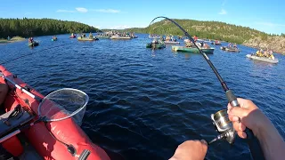 СПИННИНГИ В ДУГУ  / СУПЕР КЛЁВ ГОРБУШИ / SPINNING RODS IN AN ARC FROM SUCH A FISH