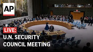 LIVE: UN Security Council meeting on the Israel-Hamas war