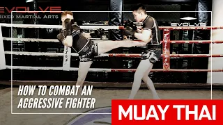 How To Combat An Aggressive Fighter In Muay Thai | Evolve MMA