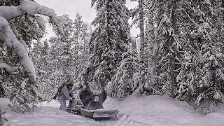 Одиночный выезд на мотособаке толкач в тайгу/ разведка новых мест и поиск  боровой дичи на Урагане