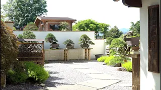 Andres Alvarez Bonsai garden, Spain