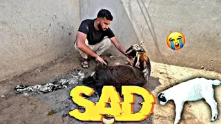 Sad | Shehr Main Dihat | Video Editing