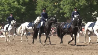 9. Sedlové tamdemy - Den starokladrubského koně 2017