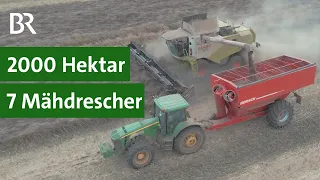 Landwirtschaft in Russland: Ernte mit sieben Mähdreschern | Landtechnikvideos |