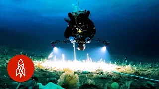 Discovering Life Under Antarctica’s Ice