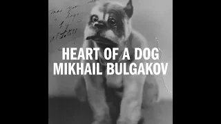 Episode 2 - Mikhail Bulgakov's Heart of a Dog
