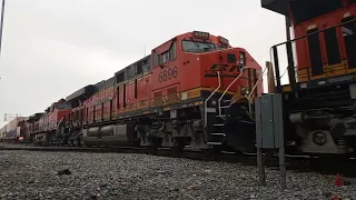 BNSF Z NBYWSP passing Fresno