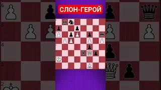 БЕНЕФИС СЛОНА #chesspuzzle #шахматныезадачи #шахматы #chess