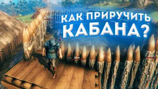 Как приручить кабана? Фишки Valheim #4 гайд #Shorts