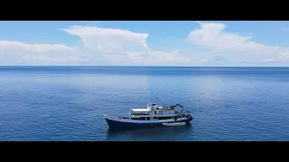 Tubbataha reef National Park LiveaBoard. M/V Resolute . 2023 May . philippines