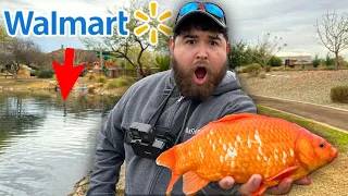 Epic Walmart Bait Fishing Challenge! (1v1)