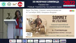 XIII Молочная Олимпиада. Секция "Рынок сыра"