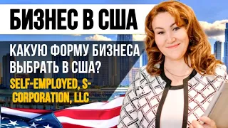 Какую форму бизнеса выбрать в США? Self Emloyed, LLC или S-Corp. Ваш Бухгалтер в США