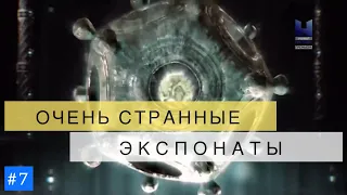 Очень странные экспонаты. #7