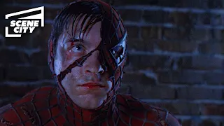 Spider-Man: Spider-Man vs. Green Goblin Final Fight Scene(TOBEY MAGUIRE, WILLEM DAFOE) With Captions