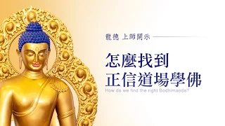 龍德上師：怎麼找到正信道場學佛How do we find the right Bodhimaṇḍa?