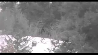 Bigfoot Evidence-  #59 of 78 Mink Creek Idaho Bigfoot Watches HS Students