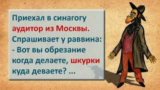 ✡️ Аудитор из Москвы! Анекдоты про Евреев! Выпуск #34