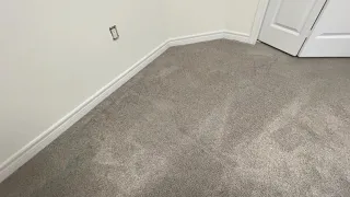 Move out steam carpet cleaning. Carpets really looked amazing at the end 😍