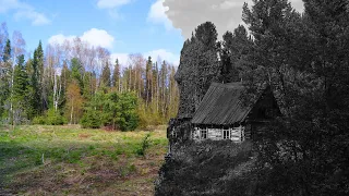 Поход к месту, где была заброшенная деревня отшельников староверов в глухой тайге Коми. Часть 2