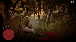 RDR 2: Deliberately trigger a trap to start a fight with Guarma lawmen