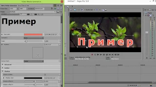 Sony Vegas - Работа с текстом