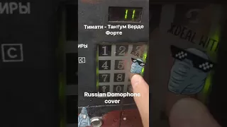 Тимати - Тантум Верде Форте (Russian Domophone cover)