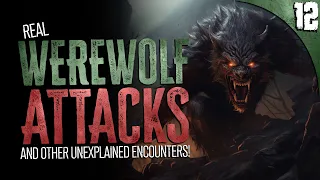 12 REAL Werewolf Attacks AND Other TRUE Horror Stories