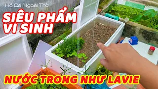 Bật mí Siêu Phẩm Vi Sinh Xử Lý Nước Cực Rẻ và Dễ Sử Dụng !