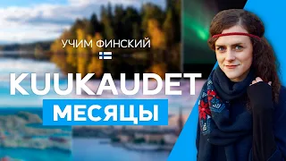 Учим месяцы на финском! Kuukaudet.