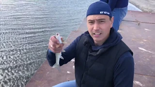 Морская рыбалка с берега на Сахалине
