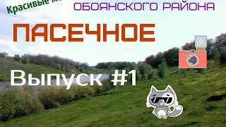 Красивые места и сёла .Обоянского района .Пасечное #1