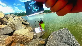 ⚠️ ANIMAL - Pescaria nas PEDRAS da PRAIA com material ULTRALIGHT e micro JUMPING JIG