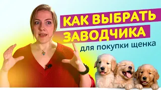 У кого купить щенка? || Кто такой Заводчик собак и как его выбрать?