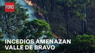Incendios forestales en Valle de Bravo pudieron ser provocados  - Las Noticias