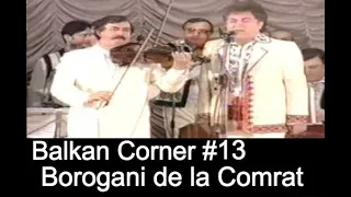 Balkan Corner #13: Borogani de la Comrat - Online Lesson. /Moldovan/Romanian/Accordion/Lautarii