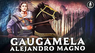 Batalla de Gaugamela, 331 AC ⚔️ Alejandro Magno