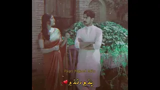 Tun Bhali Dilruba Naaz Kar Der Kar || Singer Zamin Ali || Sindhi Watsapp Status || Aesthetic Videos