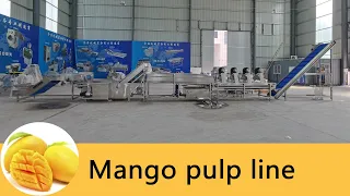 Mango pulp processing line from Zibo Unique Machinery