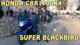 #Докатились! Honda CBR1100XX SUPER BLACKBIRD