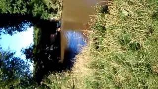 K_dot river jumping