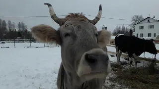 В новый год в новый дом!