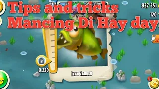 Fishing tips and tricks in game hay day    || Memancing Di Game Hay Day