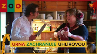 ZOO (134) - URNA zachraňuje Uhlířovou (ukázka z dílu)