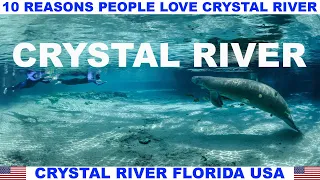 10 REASONS WHY PEOPLE LOVE CRYSTAL RIVER FLORIDA USA